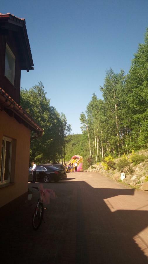 Resort Holiday Natural - Gosciniec Zacisze Хмельно Экстерьер фото
